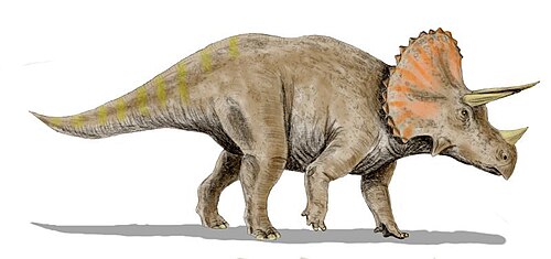 Dino Math Workbook
