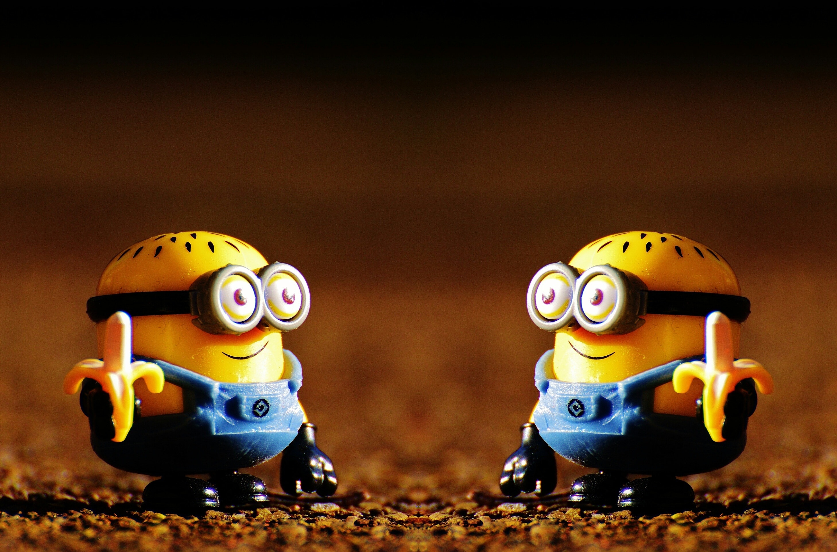 Minion Math Workbook